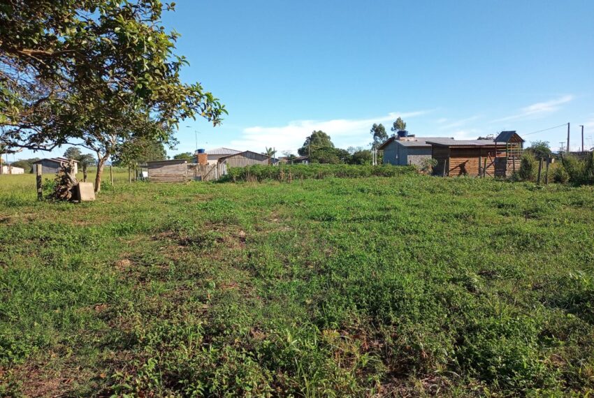 WhatsApp Image 2024-01-25 at 14.07.29