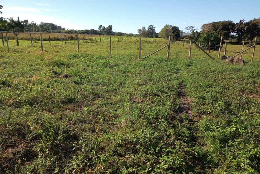 WhatsApp Image 2024-01-25 at 14.07.31