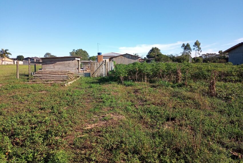 WhatsApp Image 2024-01-25 at 14.07.32 (1)