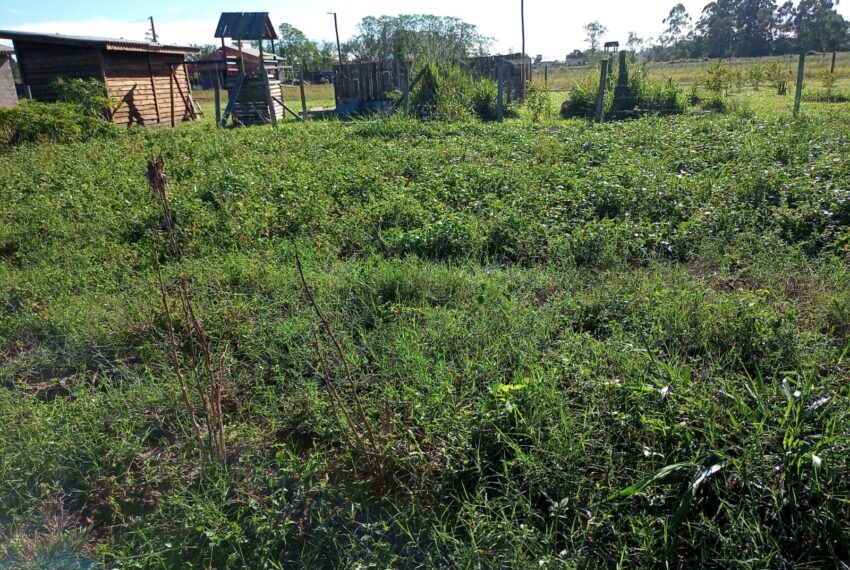 WhatsApp Image 2024-01-25 at 14.07.32 (2)