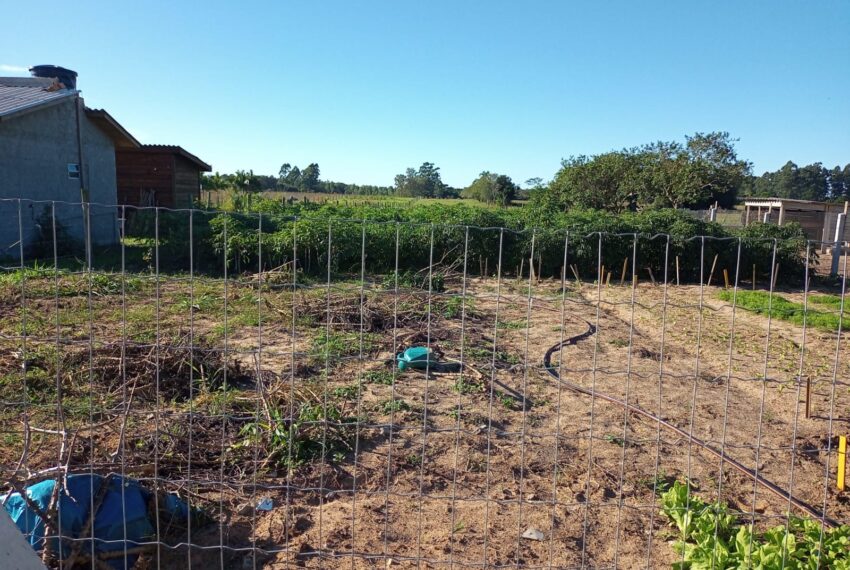 WhatsApp Image 2024-01-25 at 14.07.33 (1)