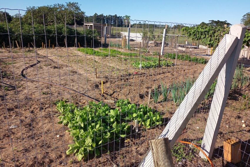 WhatsApp Image 2024-01-25 at 14.07.33 (2)