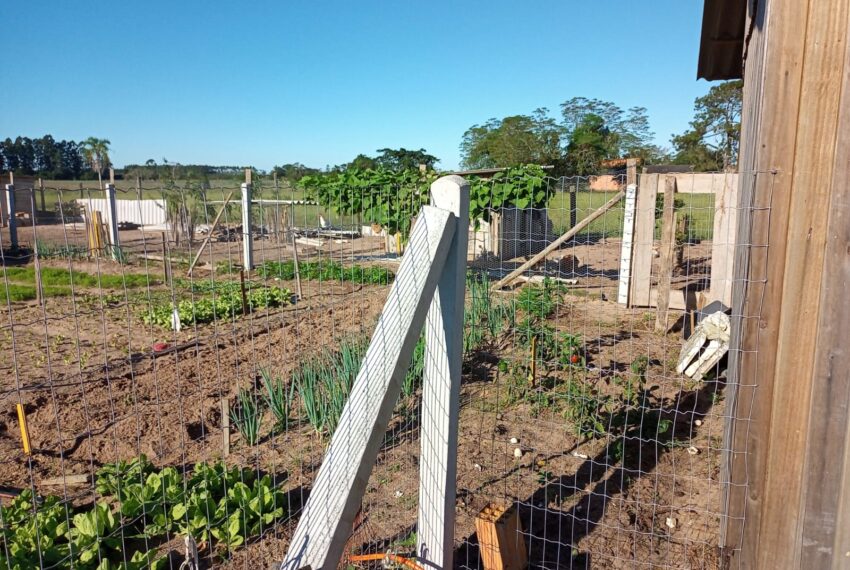 WhatsApp Image 2024-01-25 at 14.07.33 (3)