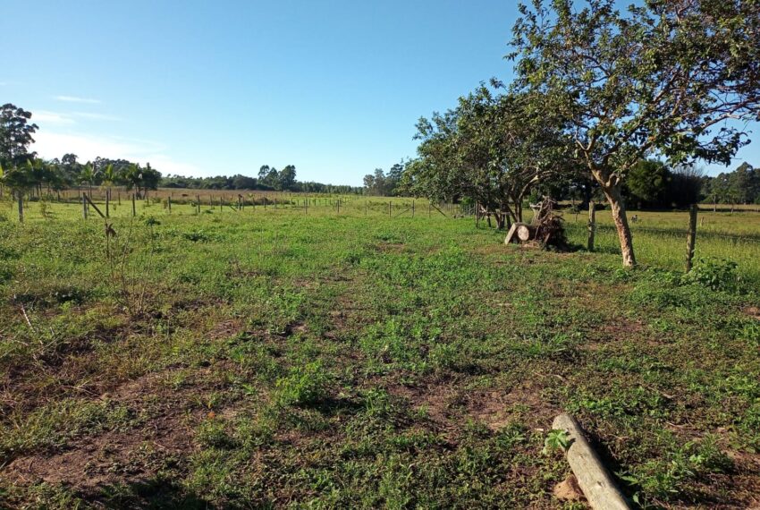 WhatsApp Image 2024-01-25 at 14.07.33