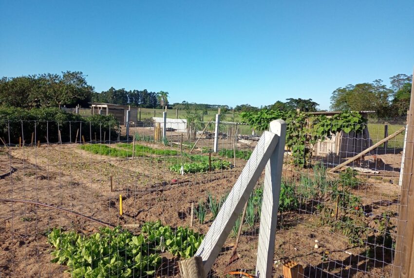 WhatsApp Image 2024-01-25 at 14.07.34