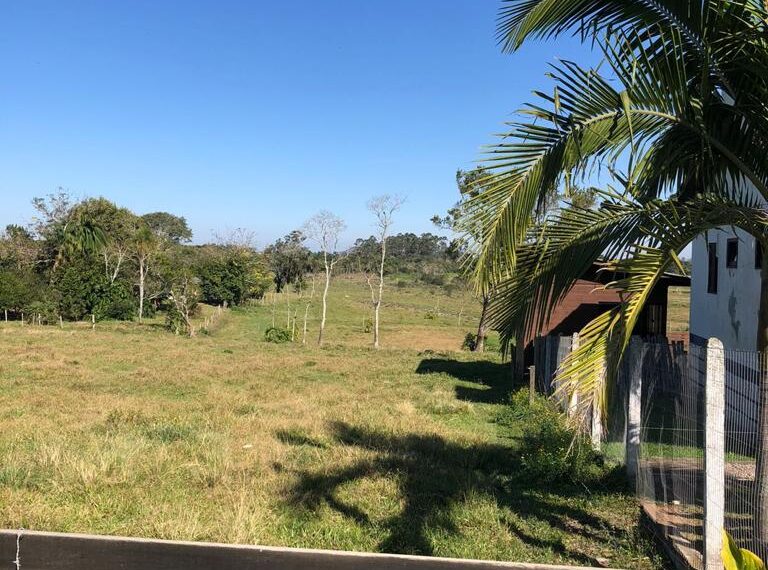 1a38012a-21ff-4a9e-a3f6-688e513ffd1f