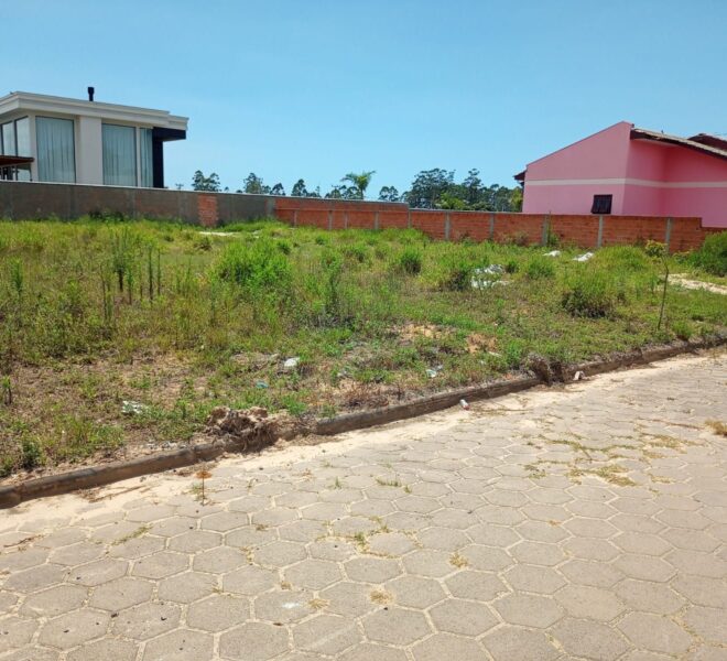 WhatsApp Image 2024-12-13 at 11.22.43 (1)