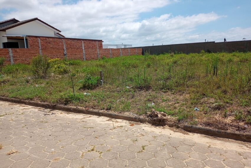 WhatsApp Image 2024-12-13 at 11.22.44