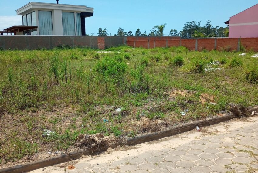 WhatsApp Image 2024-12-13 at 11.22.45 (1)