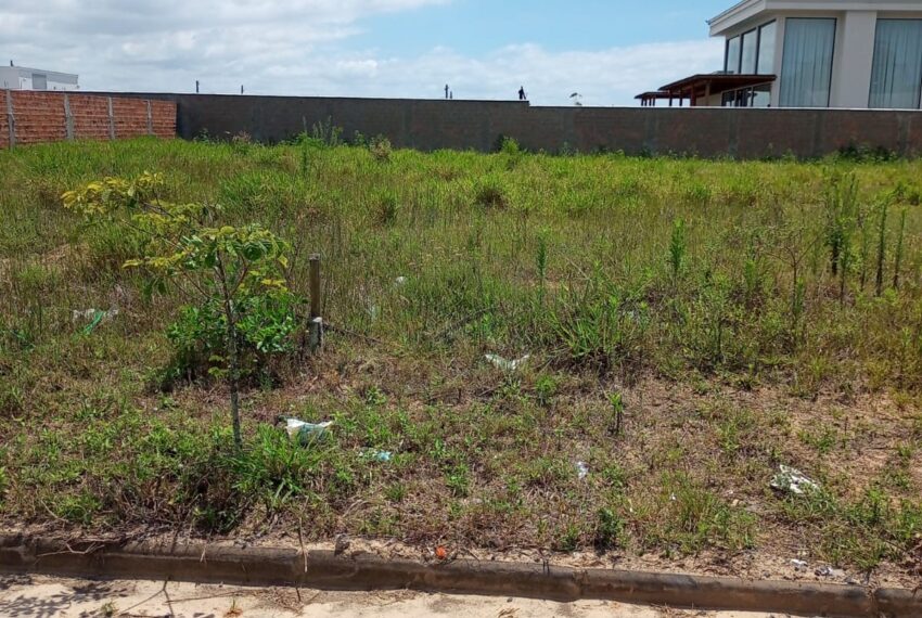 WhatsApp Image 2024-12-13 at 11.22.45