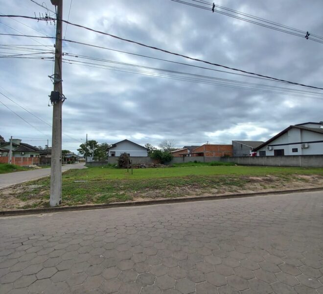 WhatsApp Image 2025-03-11 at 09.51.49 (3)