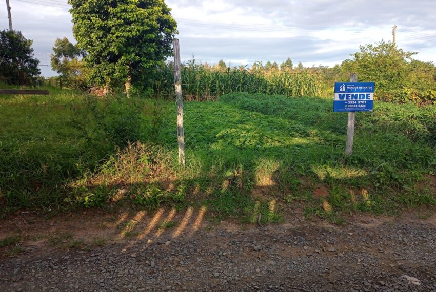 WhatsApp Image 2025-05-13 at 10.11.42 (1)