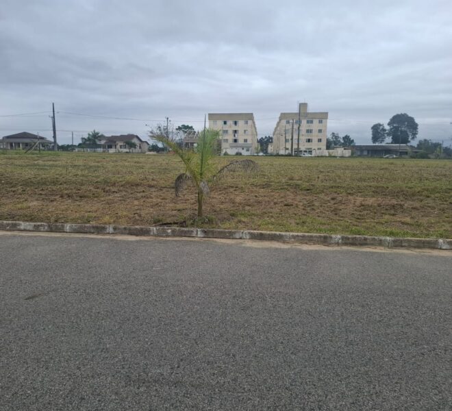 WhatsApp Image 2025-05-22 at 13.22.33