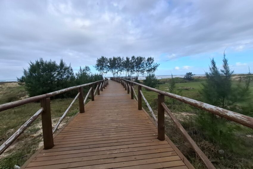 WhatsApp Image 2025-05-23 at 09.52.57