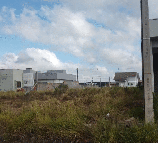 WhatsApp Image 2025-06-16 at 14.16.36 (1)-Photoroom