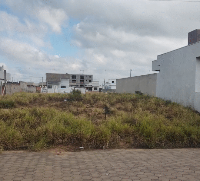 WhatsApp Image 2025-06-16 at 14.16.36-Photoroom