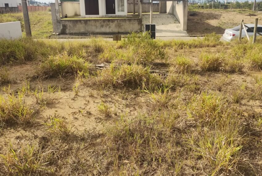 WhatsApp Image 2025-06-16 at 14.16.37 (3)