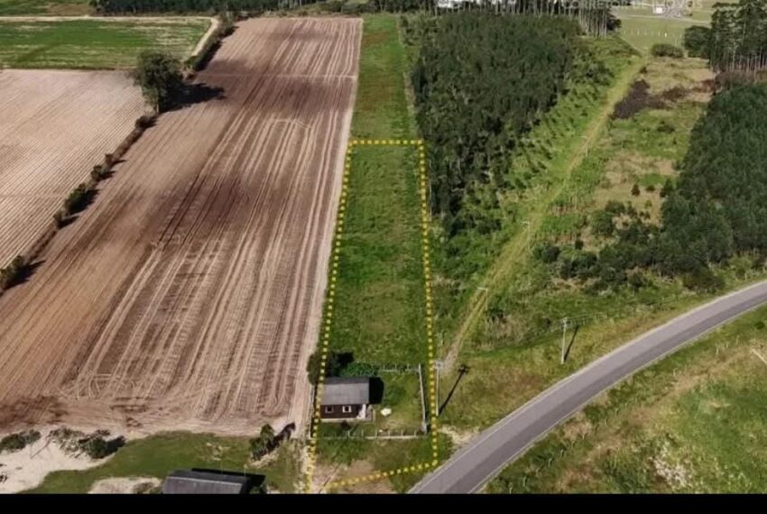 WhatsApp Image 2026-01-13 at 14.28.19