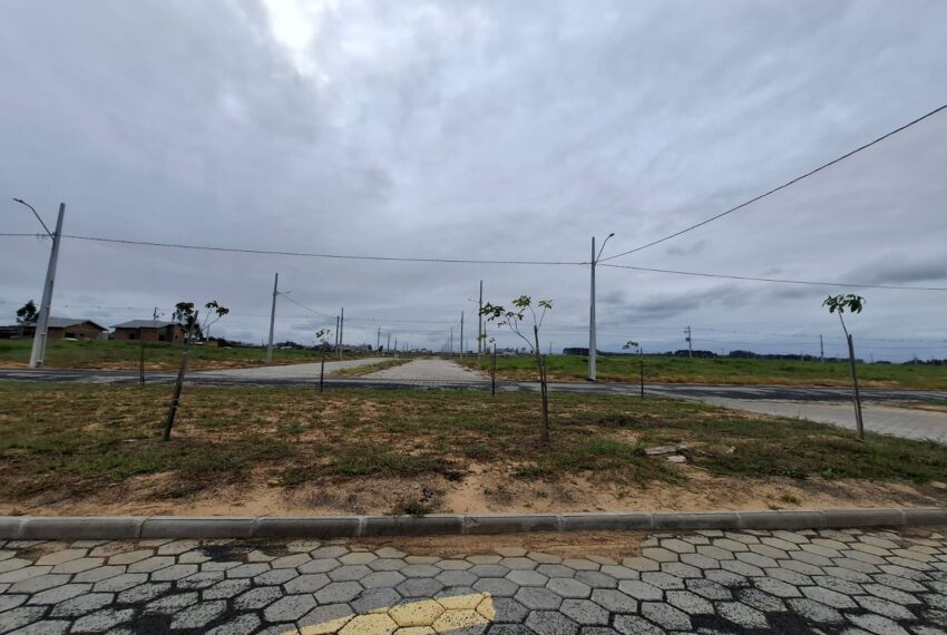 WhatsApp Image 2025-05-22 at 11.22.33 (3)