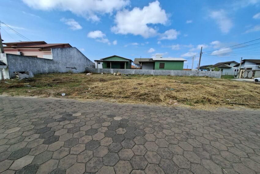 WhatsApp Image 2026-02-11 at 13.42.02 (1)