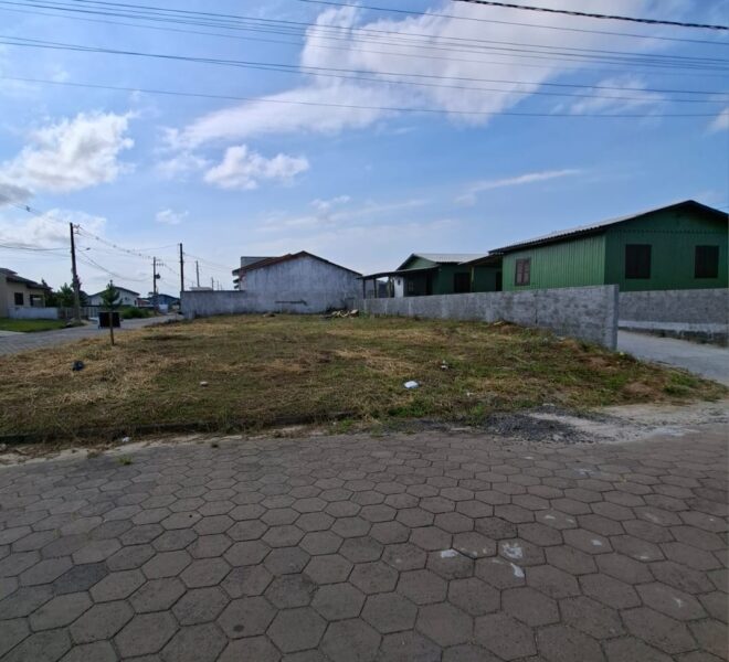 WhatsApp Image 2026-02-11 at 13.42.02 (2)