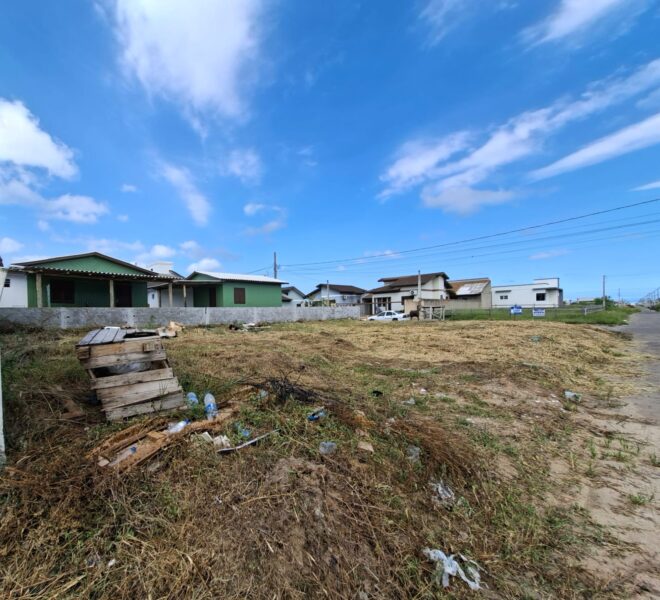 WhatsApp Image 2026-02-11 at 13.42.02