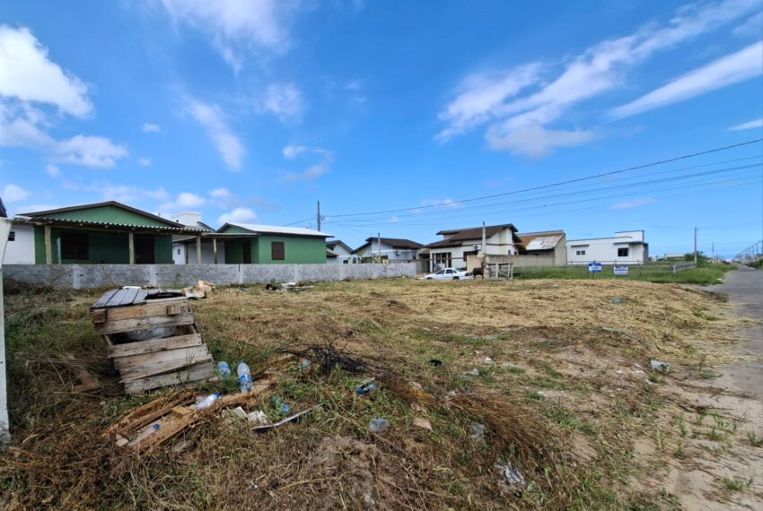 WhatsApp Image 2026-02-11 at 13.42.02