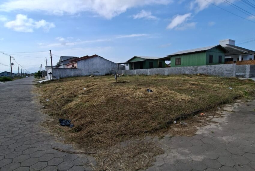 WhatsApp Image 2026-02-11 at 13.42.03 (3)