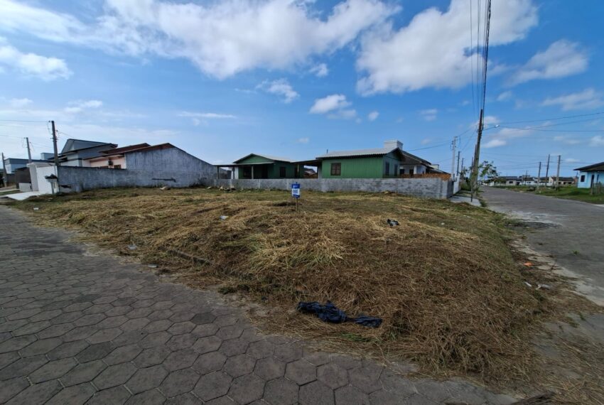 WhatsApp Image 2026-02-11 at 13.42.03