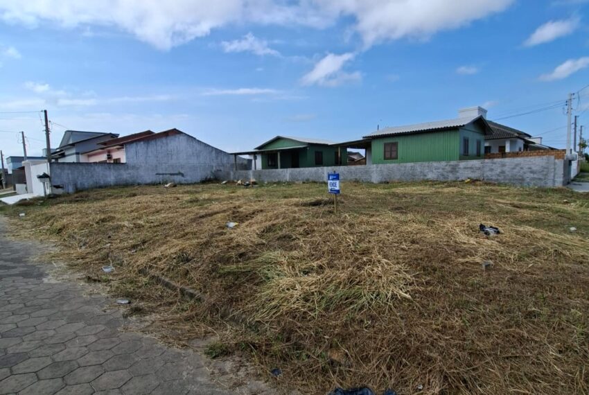 WhatsApp Image 2026-02-11 at 13.42.04