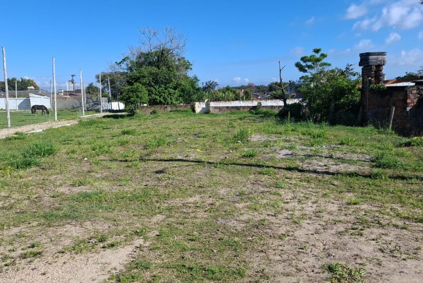 WhatsApp Image 2026-03-16 at 09.17.24