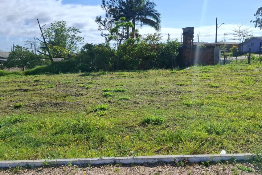 WhatsApp Image 2026-03-16 at 09.17.25 (1)