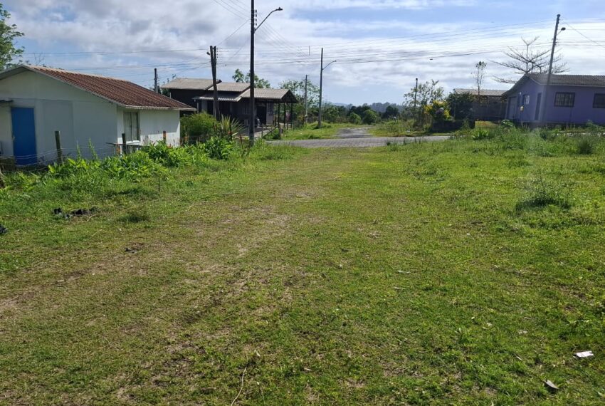 WhatsApp Image 2026-03-16 at 09.17.37