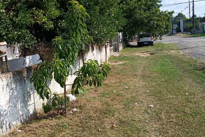 WhatsApp Image 2026-03-23 at 10.00.48 (2)