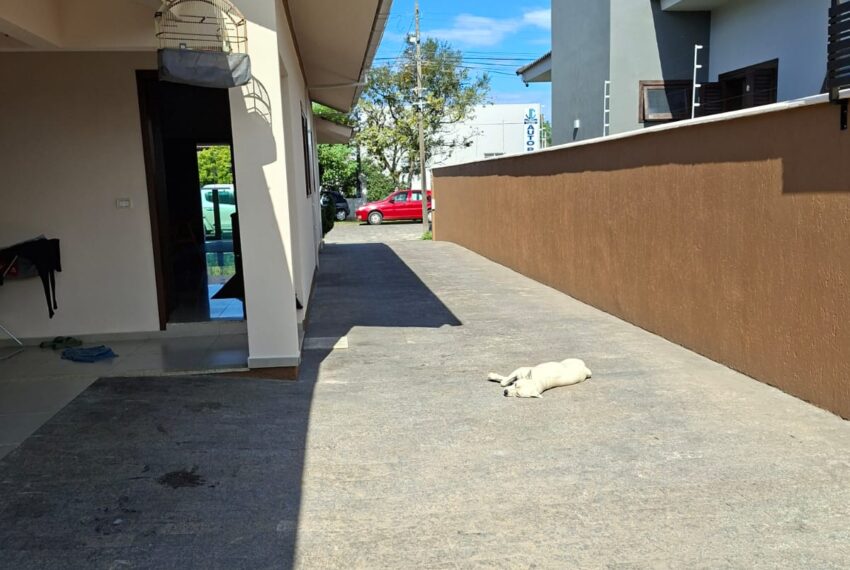 WhatsApp Image 2026-04-17 at 16.22.41 (1)