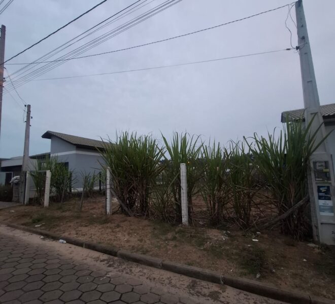 WhatsApp Image 2026-08-06 at 14.50.33